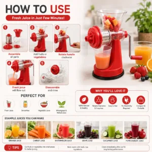 Mini Portable Fruit & Vegetable Juicer Blender